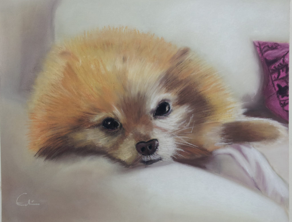 Mascota de Clara